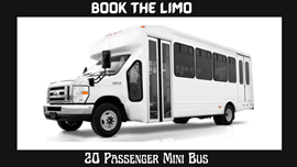 20 Passenger Mini Bus