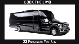22 Passenger Mini Bus