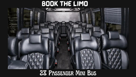 28 Passenger Mini Bus Rental Service in USA